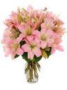 Bouquet tondo di gigli rosa