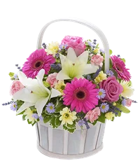 Composizione di gebere rosa carico